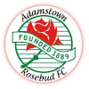 AdamstownRosebudReserves